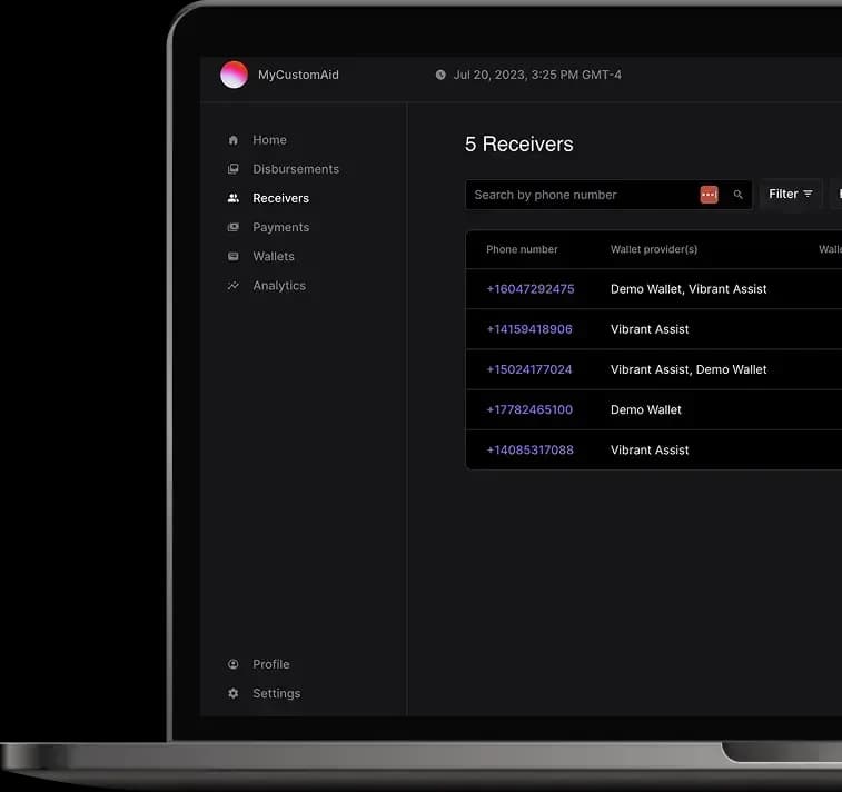 user interface stellar disbursement platform