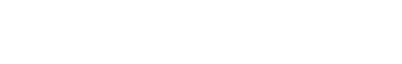 Databricks logo (white)