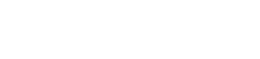 Snowflake logo (white)