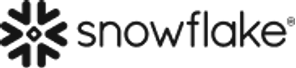 Snowflake — hero logo