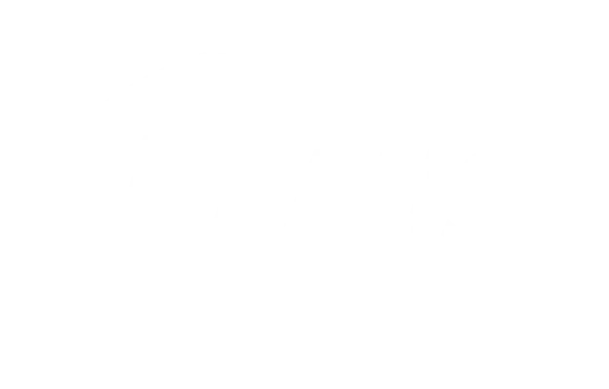 Bemis